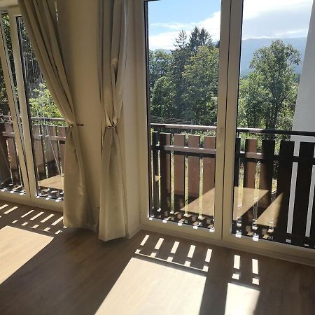 Wrzos Karkonoszy Apartment Szklarska Poreba Luaran gambar